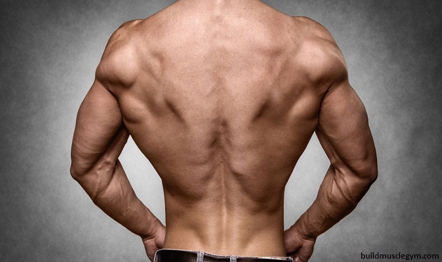 Must Do Back Moves to Build A Massive Back