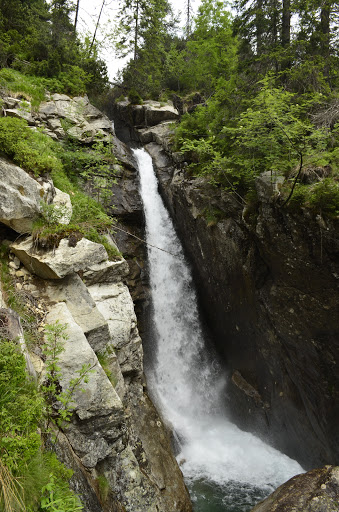 Татры, июнь 2015. с собакой