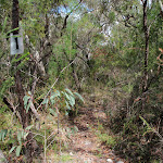 The top of the Wobby Track (205750)