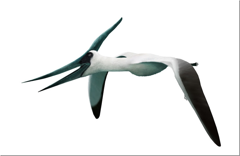 WlgJReUgRIqvYNmpTEMo_pteranodon