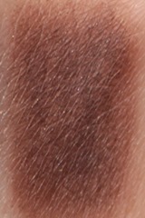 GroundBrownEyeshadowPermanent2017MAC