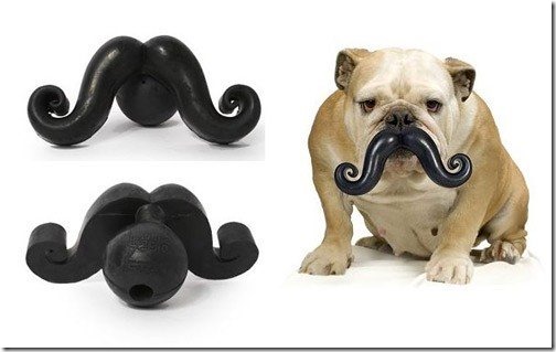 bigotes para perro