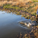 20140404_Fishing_Prylbychi_038.jpg