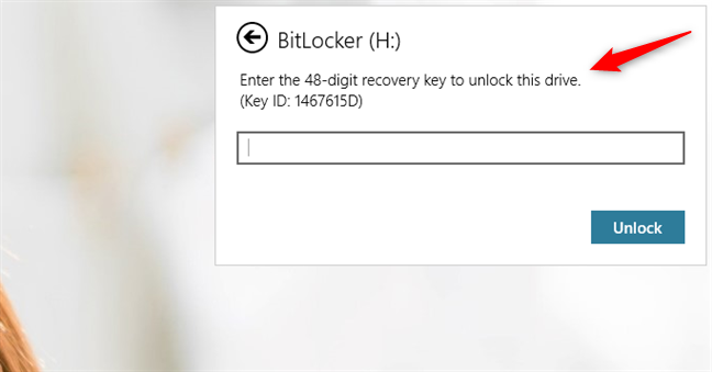 Поле ключа восстановления из окна разблокировки BitLocker