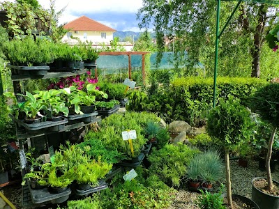 Photos of Floragarden