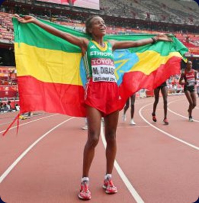 pekin 2015 mare dibaba