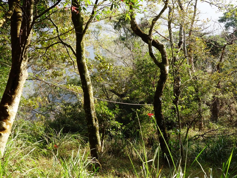 2014_0101-0105 萬山神石、萬山岩雕順訪萬頭蘭山_0140