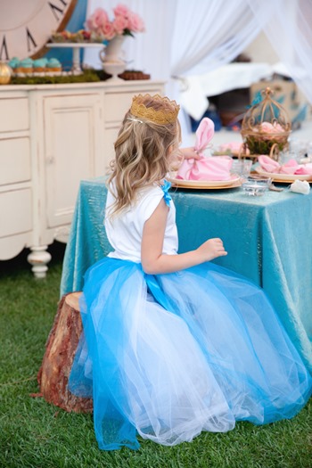 Cinderella Themed Royal Garden Party - Las Vegas www.trishphoto.com  233
