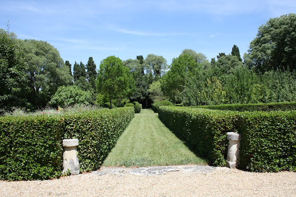 image50