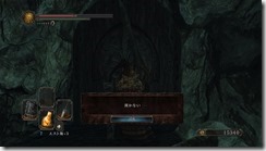 DarkSoulsII 2017-01-14 15-10-39-48