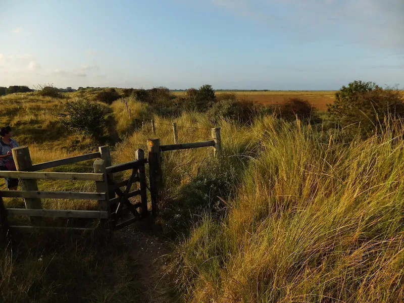 Saltfleetby, Theddlethorpes dunes