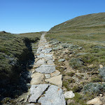 Stone path south of Lake Albina (267185)