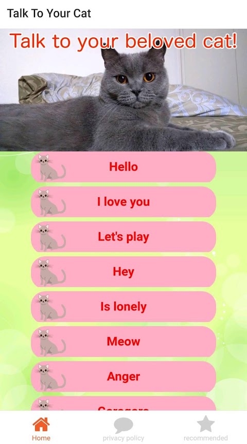 Talk to your beloved cat! Cat Translateのおすすめ画像4