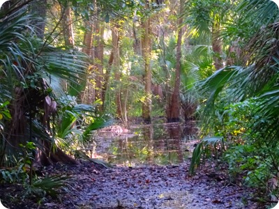 Caloosahatchee Regional Park