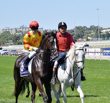 aus guineas_hawkshot 1