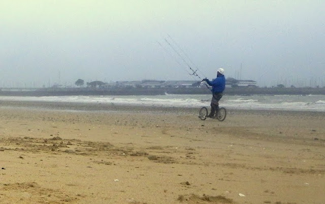 Vers l'estuaire de la Loire (Pornichet/LaBaule, St Brévin...) au fil du temps... - Page 18 Dirtsurtfer_2015_11_16_036w