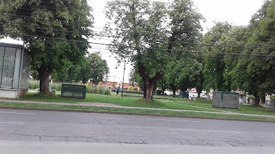 Photos of Oficina