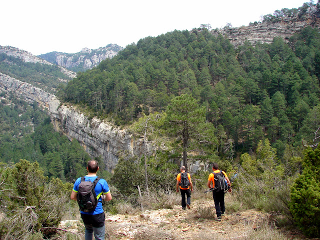 Senderismo - Coll de la Creu - Punta Boixet - Alt de la Coscollosa - Barranc de la Coscollosa