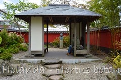 Glória Ishizaka - Hortus Botanicus Leiden - 55