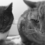 Alexis (left) and Sven. 20121215-01-alexis-sven.jpg