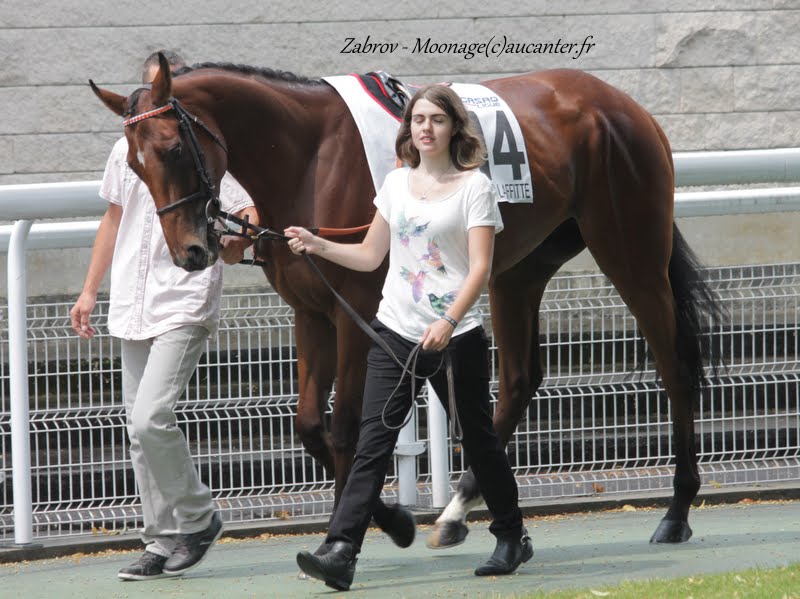 Photos Maisons-Laffitte 5-07-2015 IMG_2260