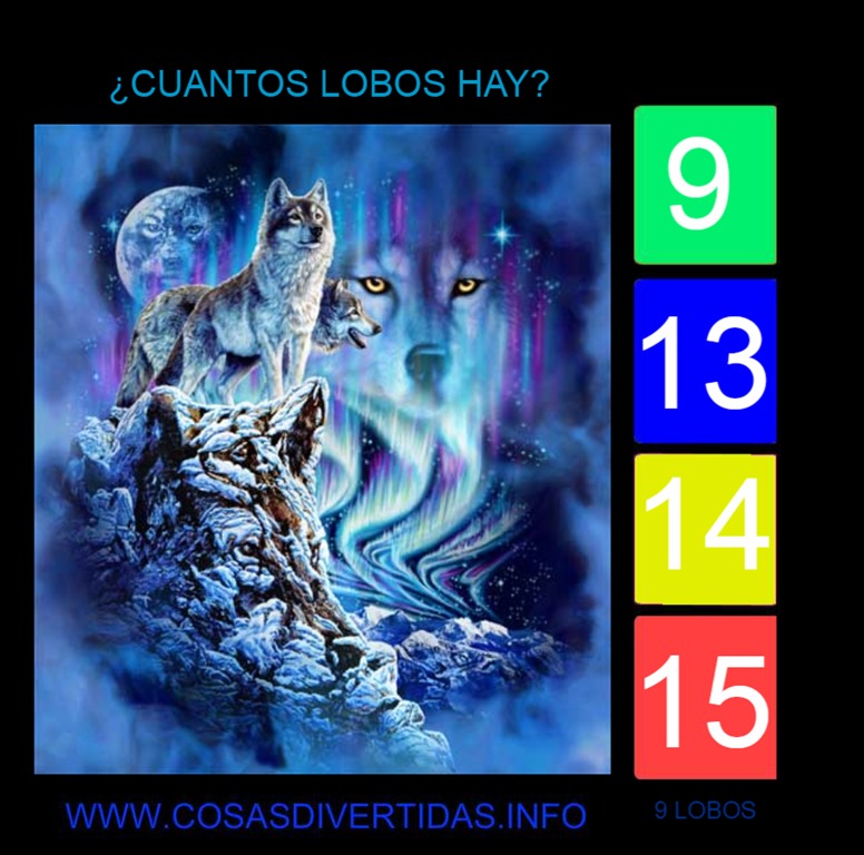 [9+LOBOS%5B2%5D]