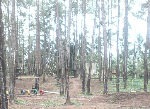 outbound