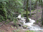 Along Waterfall Loop Trail