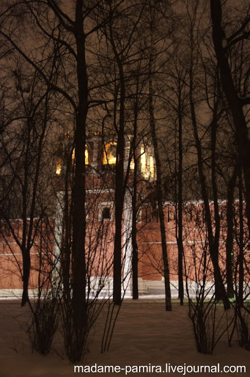 Донской монастырь 