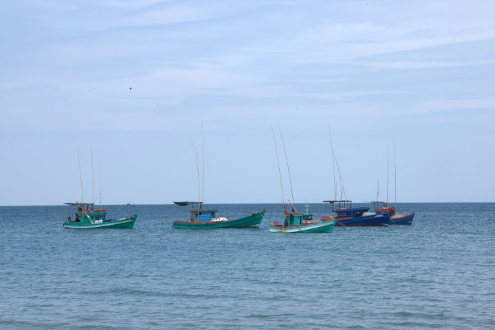 DSC_4562.jpg