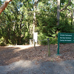 Track to Rain Forest in Blackbutt Reserve (399523)