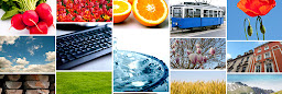 Profile cover photo