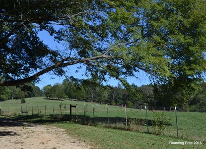 The trail takes us past a pasture