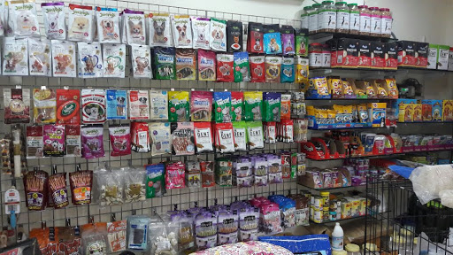 Classic Pet Store, 5/1 Round Building, Radial Nagar, Anna Nagar West Extn, Near Chennai Public School, Chennai, Tamil Nadu 600101, India, Bird_Shop, state TN