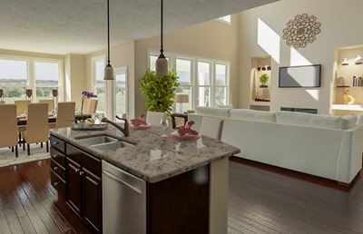 Skyview kitchen(2)