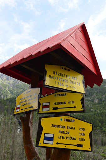 Татры, июнь 2015. с собакой