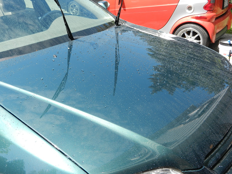 DSCN3977.JPG