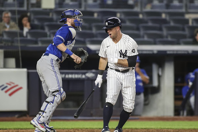 Mike Ford ran into a sophomore slump in the Yankees 2020 season - Pinstripe  Alley