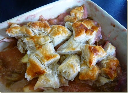 rhubarb and apple jumble pie2