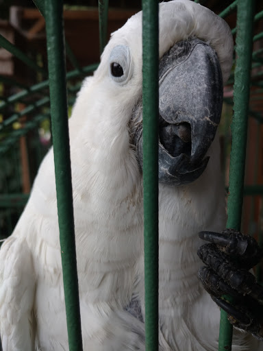 Pet Store «Ponds & Plants», reviews and photos, 1668 Rhea County Hwy, Dayton, TN 37321, USA