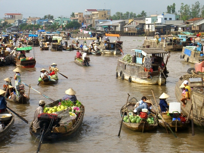 Boats full of fruit and vegetables head to Cai Rang floating market.  