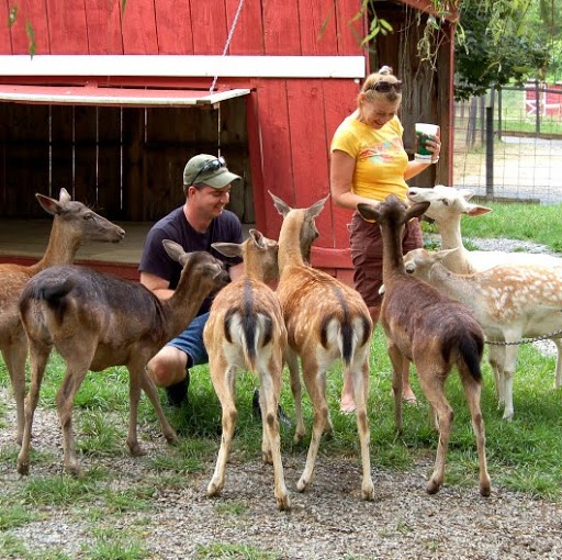 Smoky Mountain Deer Farm and Exotic Petting Zoo logo