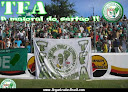 TORCIDA FORÇA ALVIVERDE