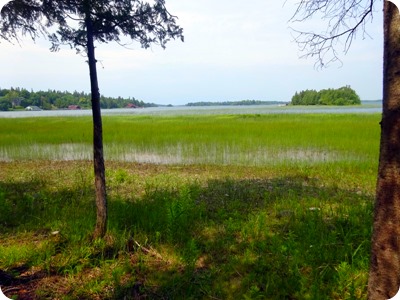 Wm Derby Nature Preserve