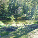 Camping area near Old Geehi Hut (294388)