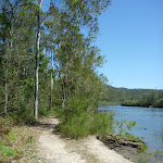 Walking alongside Mooney Mooney Creek (373921)