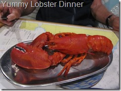 037 Yummy Lobster Dinner