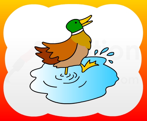 How to draw Duck In Water for kids