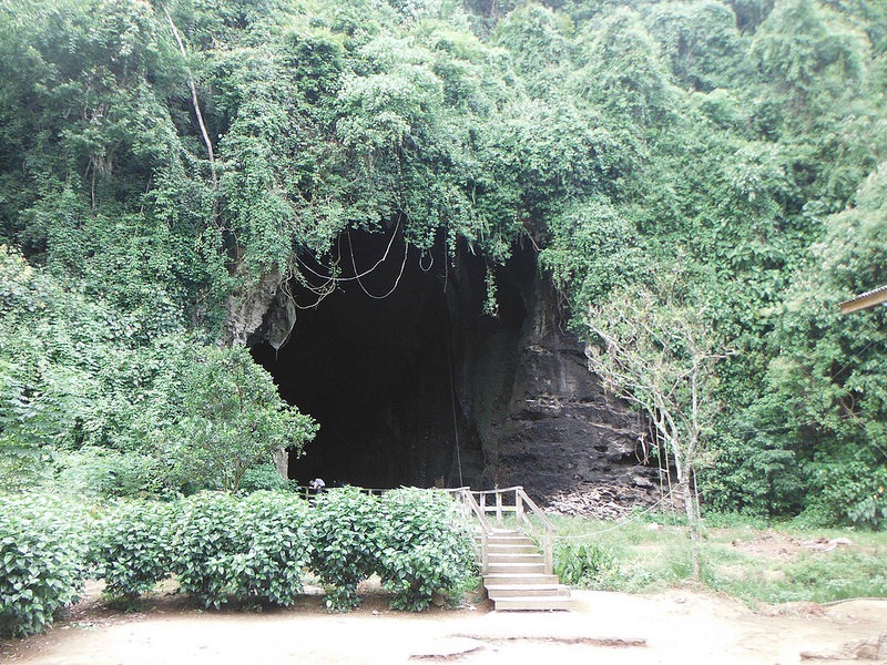 gomantong-caves-12