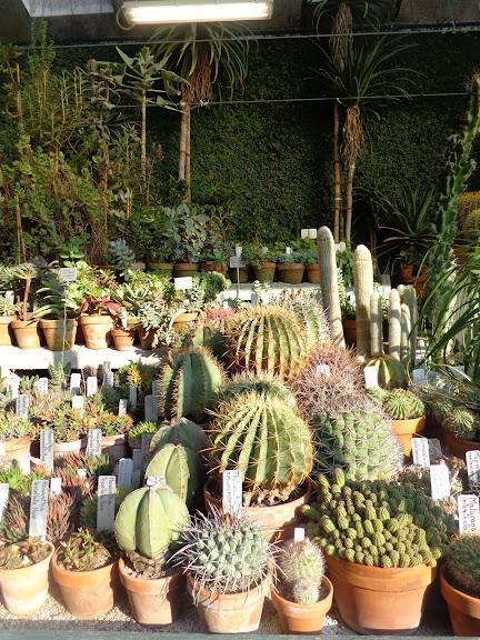 Круиз на Queen Elizabeth, 12-24 октября 2012